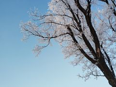 -中旅松花湖滑雪场