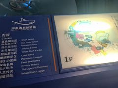 -烟台海昌鲸鲨海洋公园