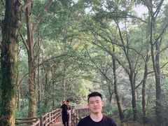 -木兰云雾山