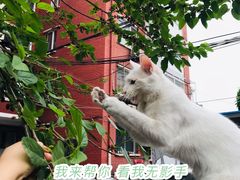 -一片田陶艺工作室