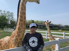 -杭州湾海上花田景区