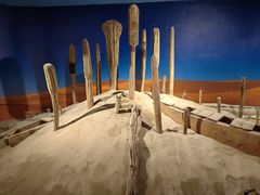 -巴音郭楞蒙古自治州博物馆