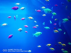 -华夏文旅海洋公园