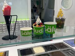 -Salud撒露欧洲冻酸奶(蓝色港湾店)