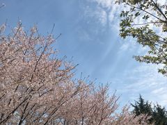 -白塘生态植物园