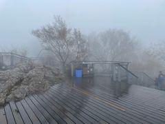 -紫金山山顶公园
