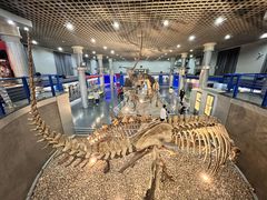 -国家自然博物馆