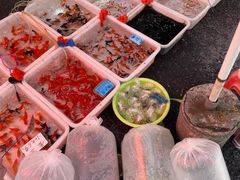 -清平路水族市场