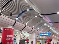 -大望路(地铁站)