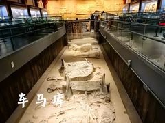 -北京大葆台遗址博物馆