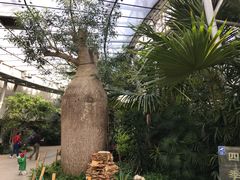 -北京植物园-展览温室