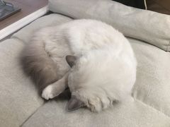 -FULL MOON满月咖啡