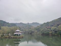 -新草堂锅物料理(泉城路店)