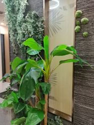点击看大图 -芳朵美容养生SPA