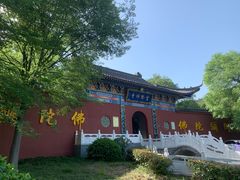 -冶父山国家森林公园