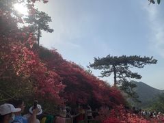 -木兰云雾山