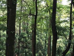 -南岳衡山风景名胜区