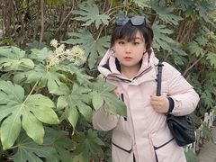 -云龙山