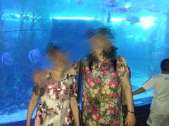 -皇家极地海洋世界-售票处