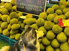 -曼阁市场水果批发市场
