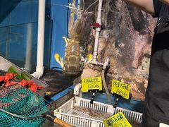 -辉记炭烧海鲜大排档·老字号(福田店)