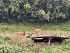 -宁波野生动物园