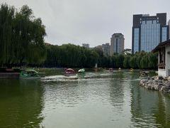 -团结湖公园