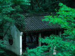 -虎跑公园