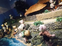 -济州岛泰迪熊博物馆