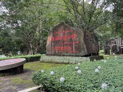 -海口火山口国家地质公园