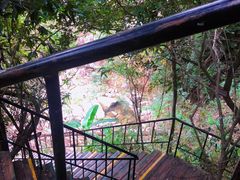 -海南霸王岭国家森林公园