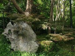 -西湖风景区-江洋畈生态公园