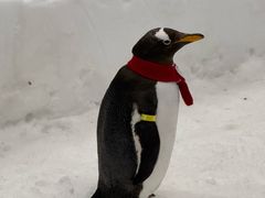 -长沙湘江欢乐雪域