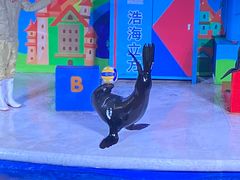 -成都浩海立方海洋公园