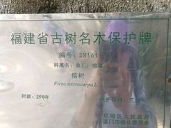 -胡里山炮台
