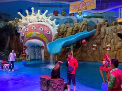 -烟台海昌鲸鲨海洋公园