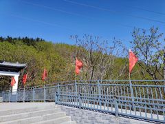 -六里坪国家森林公园