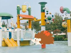 -南宫温泉水世界