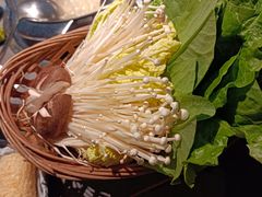 -同仁四季椰子鸡(宝安壹方城店)