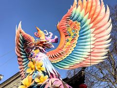 -老门东历史文化街区