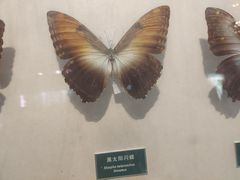 -陕西自然博物馆