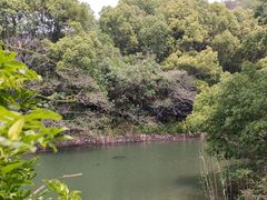 -白马涧龙池景区