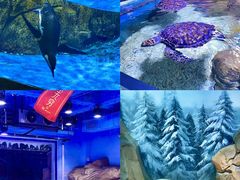 -长沙湘江欢乐雪域