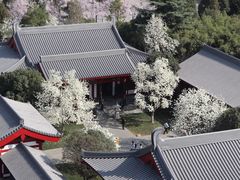 -大慈恩寺(大雁塔)