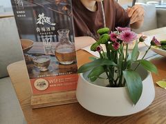 -青梅酒肆PLUS(长白仙岛北路店)