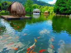 -广州市白云山风景名胜区