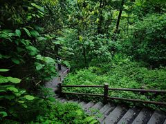 -九峰山