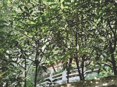-北极阁公园