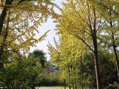 -洛阳市隋唐城遗址植物园