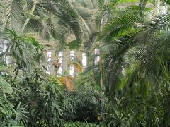 -中家鑫园温泉酒店鑫悦汤泉